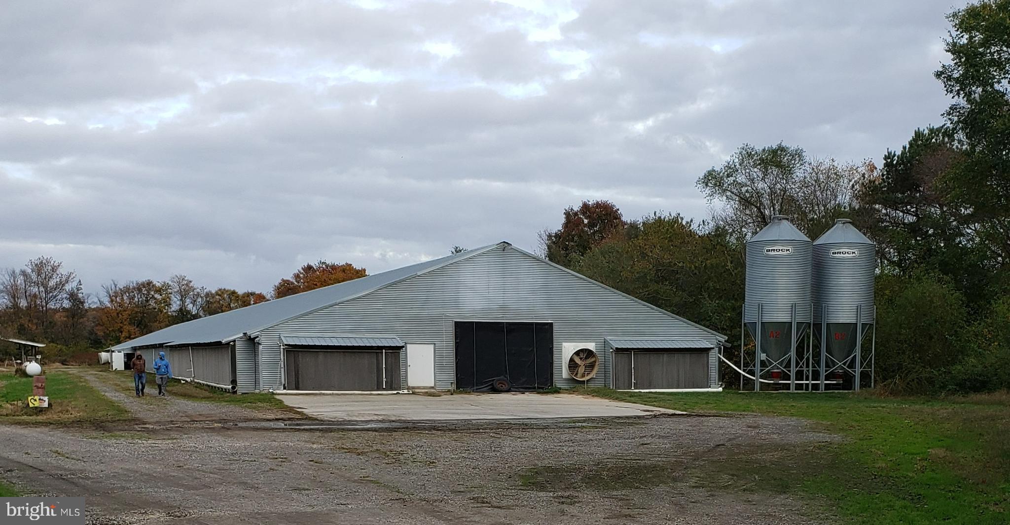 NONE AVAILABLE - Farm