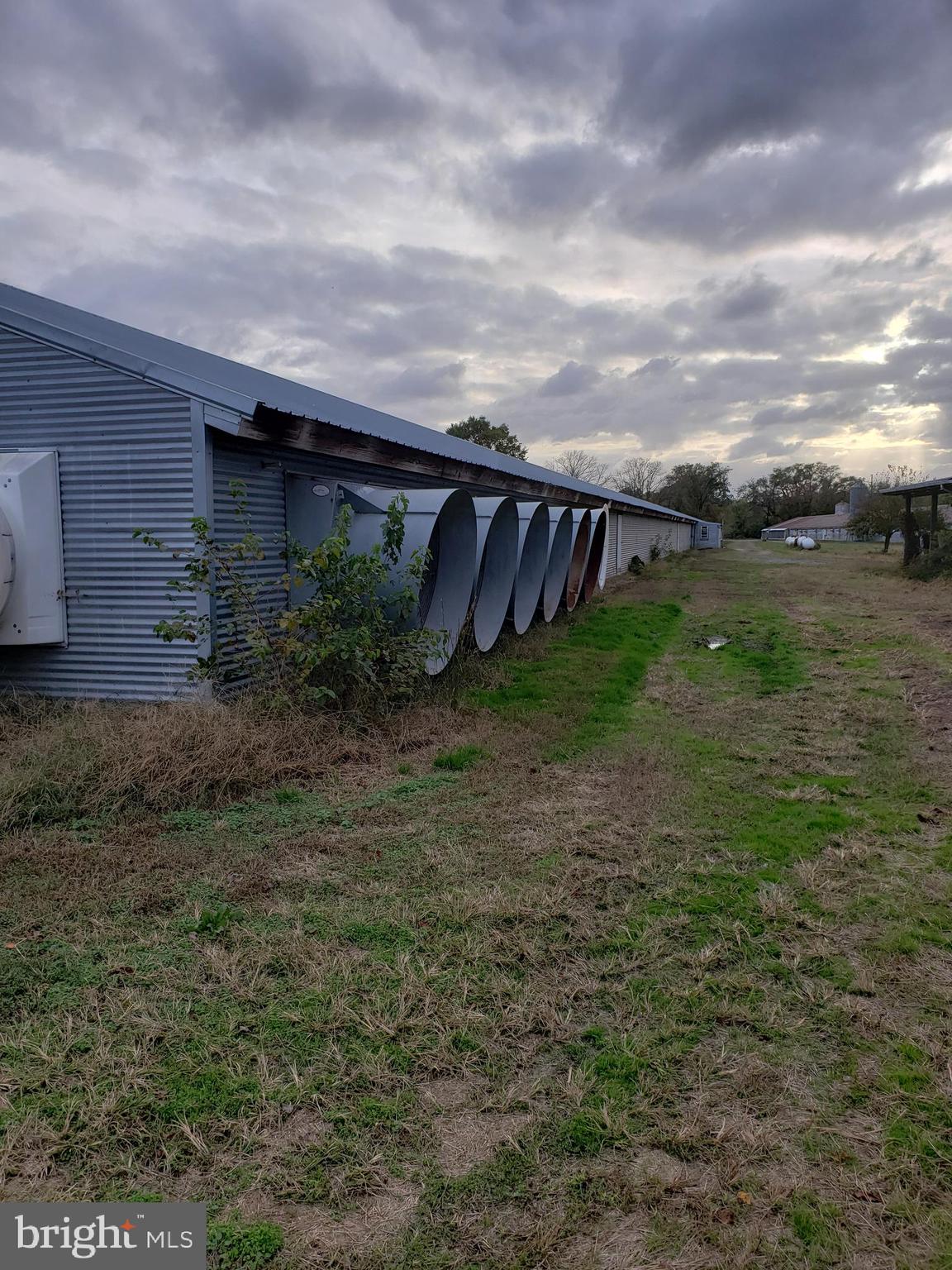 NONE AVAILABLE - Farm