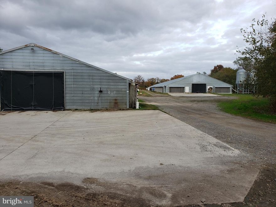 Here is a small farm with a lot of potential. Located near Federalsburg, Maryland, this two house poultry farm is currently growing 9 week large birds for Mountaire. The farm includes a 42' x 500' -house #1, built in 1994 and a 60' x 528' -house #2, built in 2008. Both houses have been fully updated in 2022 to meet the current specifications required by Mountaire. New feed lines have been installed in house #2 and new fans have been installed in houses #1 & #2.  Each house has Rotem controllers and communicators. The farm has a 100Kw generator for power backup. There are two manure storage sheds with a composter attached to each one and concrete heavy use area pads in front of all structures and houses. The three story, 4 bedroom/ 2.5 bath, farmhouse was built in the early 1900s and has had several renovations including a finished third floor which added the fourth bedroom and second full bath, a new metal roof in 2017, and new siding and windows in 2016. There is a separate structure serving as the farm tenant's residence with a bathroom, bedroom, and kitchen area. Other property highlights include an in-ground pool, livestock/storage barn with fenced area, and open field areas to the left and right of the farmhouse. This is the perfect farm for a beginning farmer with a family or someone looking to supplement their income by raising poultry. The farm consists of 21.25+/- surveyed acres (Caroline-8.751 acres/Dorchester-12.502 acres)

Parcel 05-025524 is subject to recent subdivision plat removing 3 lots along Clark Canning House Road. Boundary lines are approximate. 

Parcel 12-003250 is in Dorchester County, 05-025524 is in Caroline County.