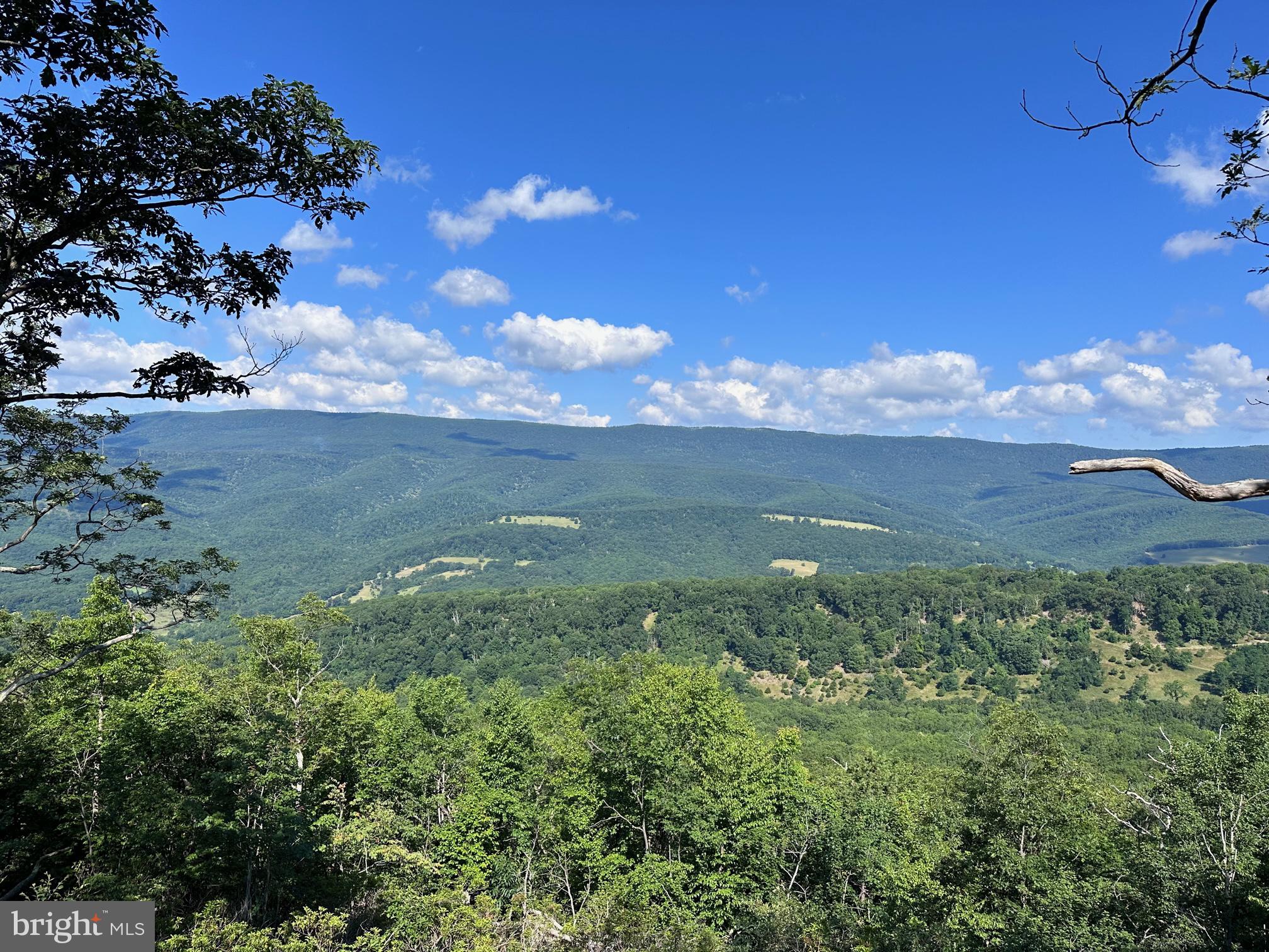 2 NICE WOODED PARCELS TOTALLY 11.24 ACRES IN THE SMALL COMMUNITY OF JORDAN RUN -- SMALL SHED ON THE PROPERTY -- EXCELLENT PRICE