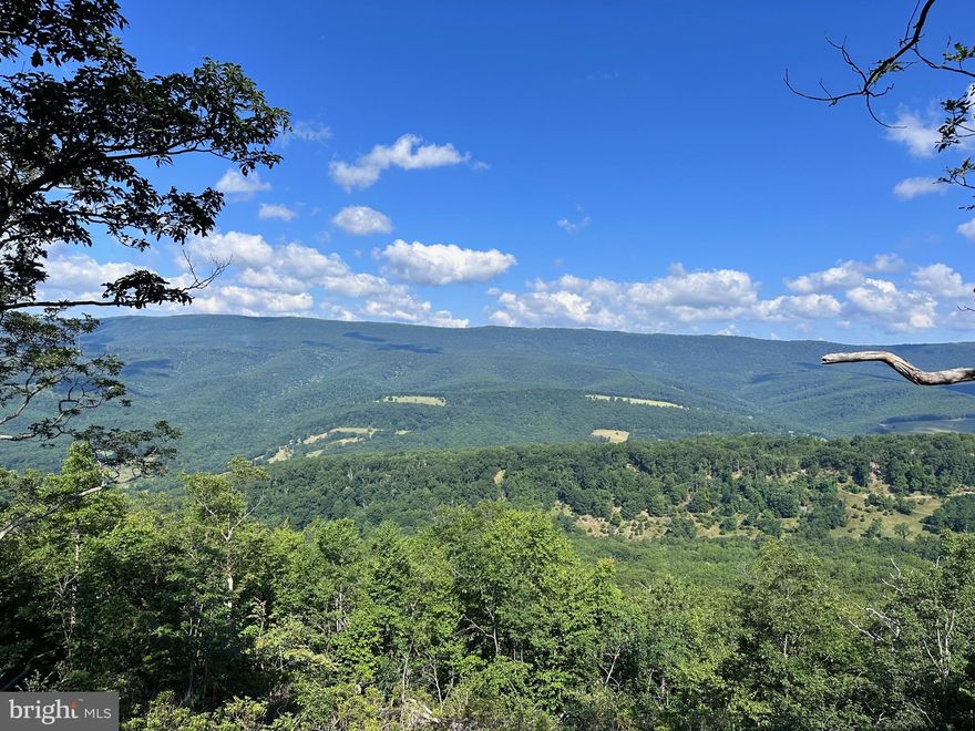 2 NICE WOODED PARCELS TOTALLY 11.24 ACRES IN THE SMALL COMMUNITY OF JORDAN RUN -- SMALL SHED ON THE PROPERTY -- EXCELLENT PRICE