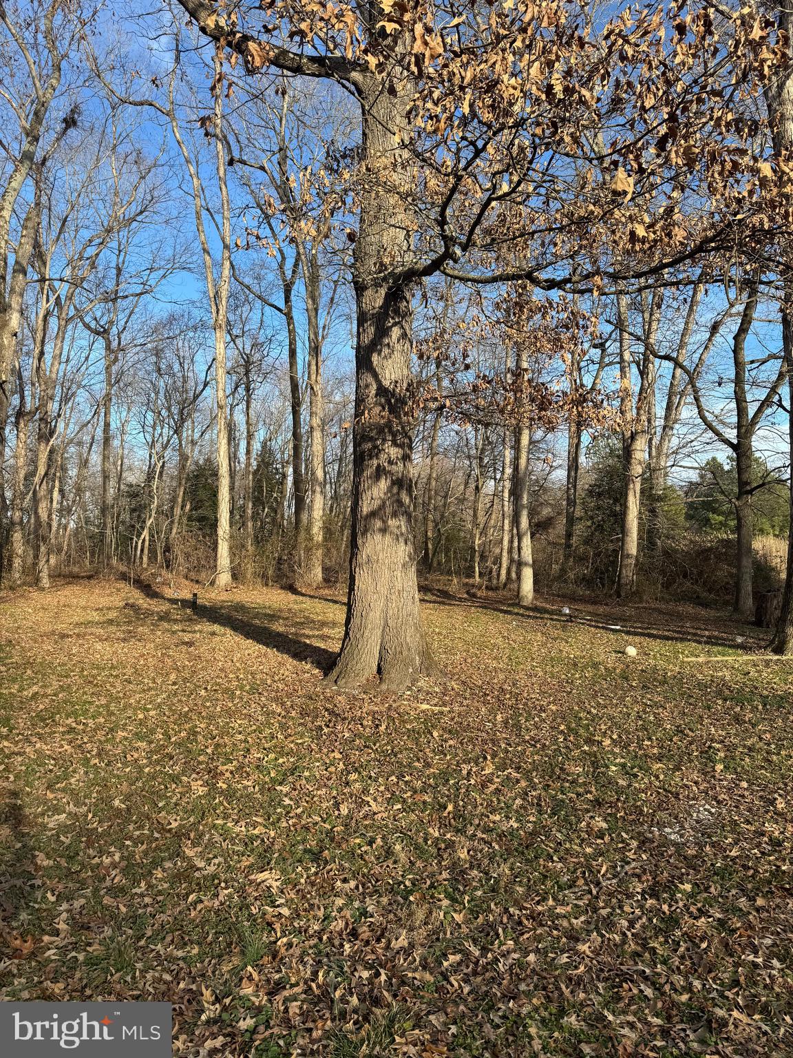 DENTON AREA - Residential