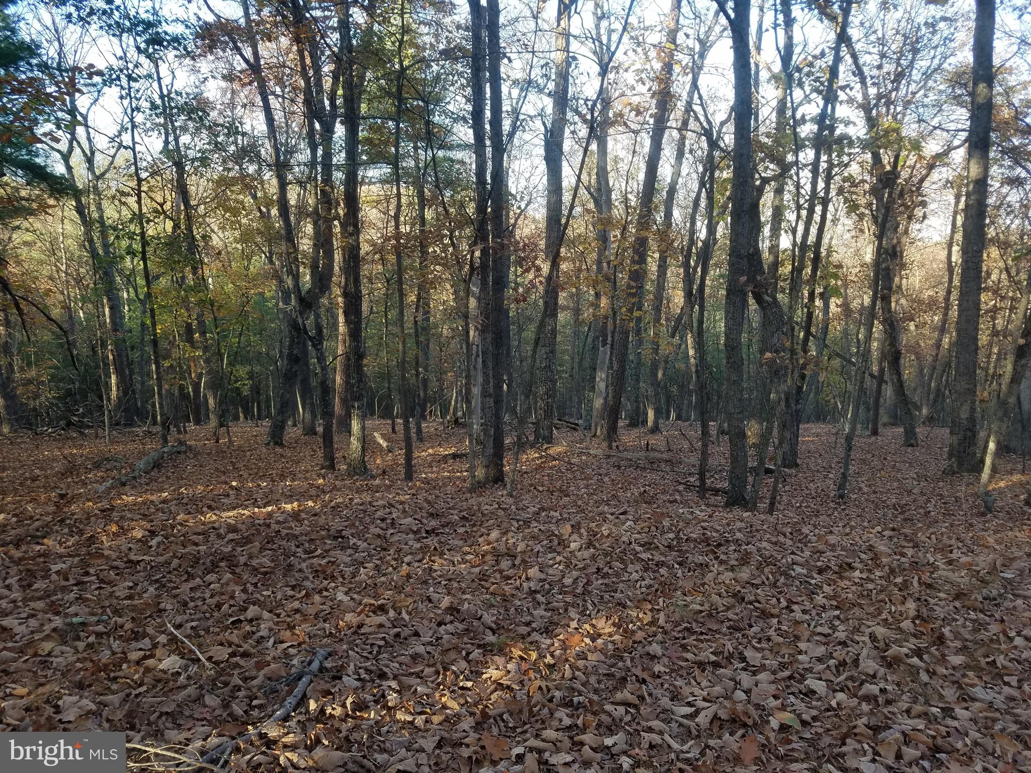 CRYSTAL VALLEY ESTATES - Land