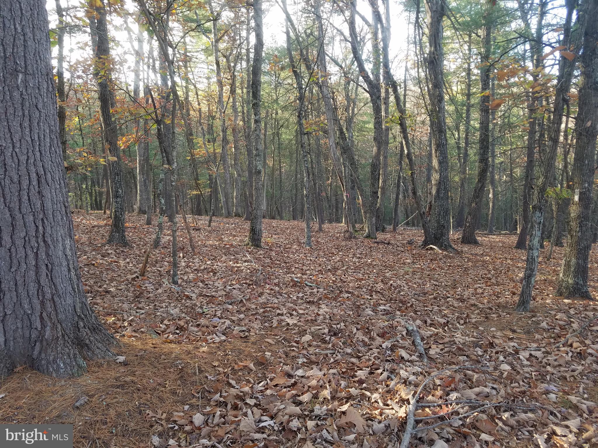 CRYSTAL VALLEY ESTATES - Land