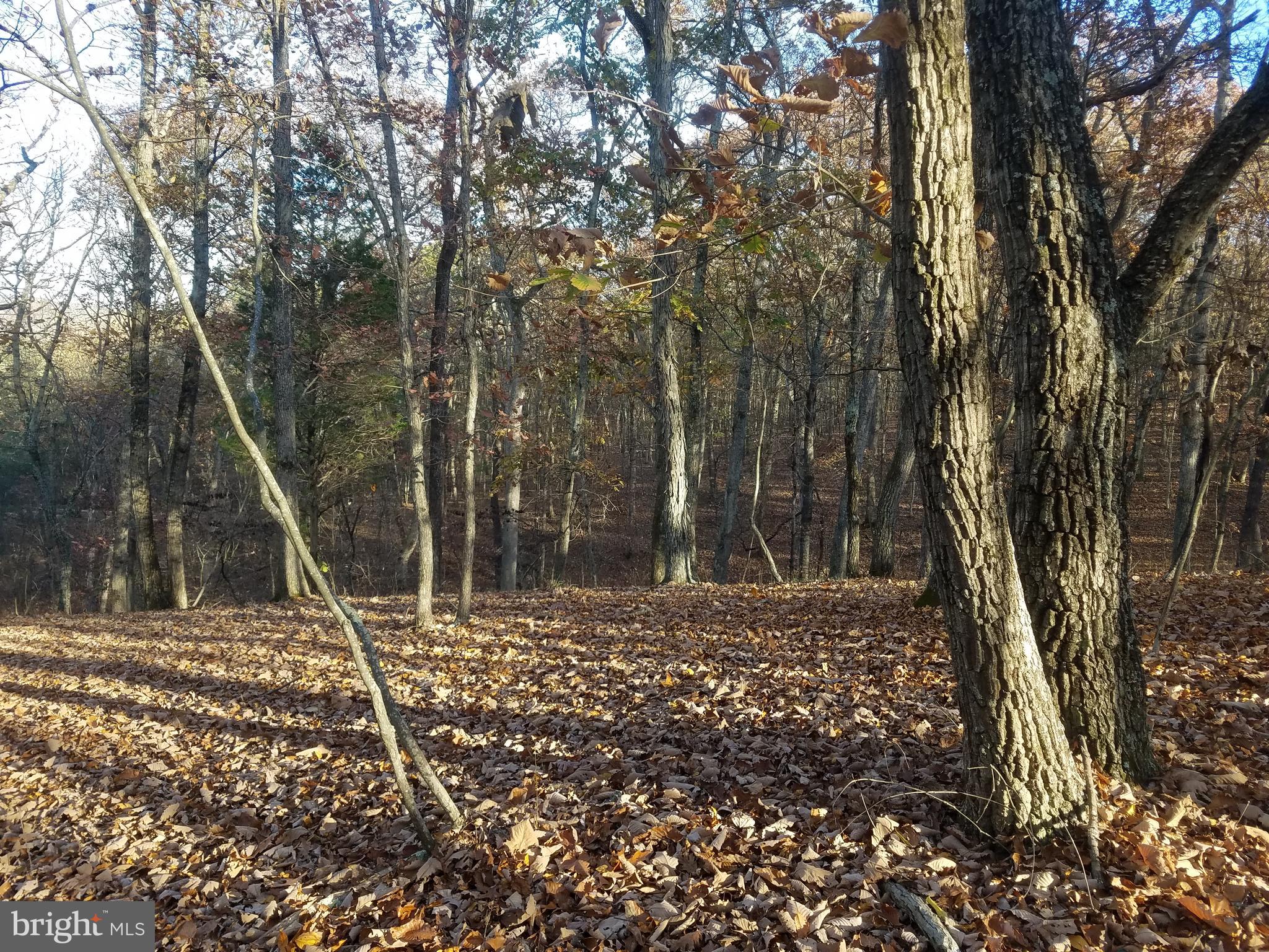 CRYSTAL VALLEY ESTATES - Land