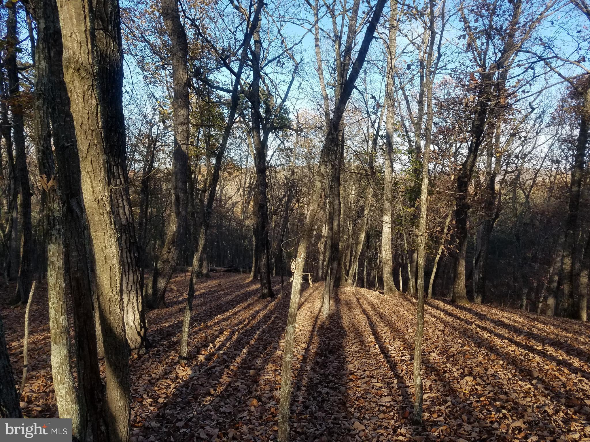 CRYSTAL VALLEY ESTATES - Land