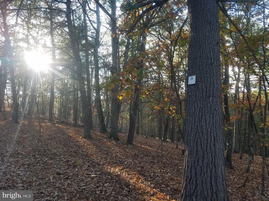 BEAUTIFUL CRYSTAL VALLEY ESTATES! Rurally located in the heart of Hampshire Co.  just four miles north of Romney.  This "wild life refuge" and older development sits on the east side of what is locally known as Herriots Mountain.  A mixture of sloping to gently rolling lots, all wooded with various potential build sites. Well maintained country roads throughout.  Only minutes from public access to the South Branch River.  Also nearby is Crystal Valley Ranch Restaurant (horse stables and riding trails)...Double lot #28 & 30, 4.9 acres at culdesac...Build that home or getaway cabin!!! Other lots available, see plats and lot list...