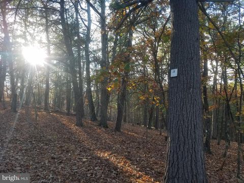 Vacant Land For Sale - Acorn/solitude<br/> ROMNEY, WV 26757