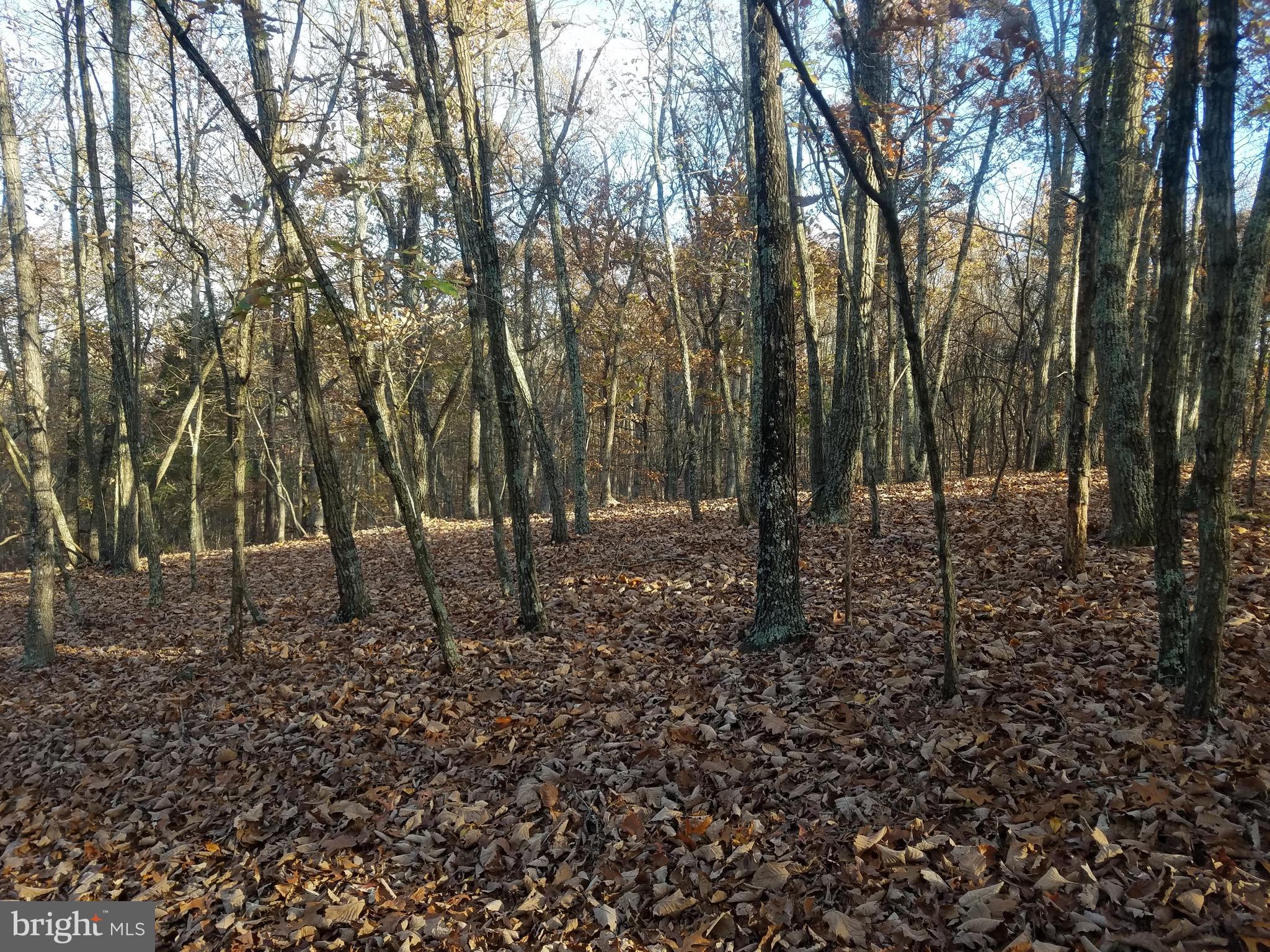 CRYSTAL VALLEY ESTATES - Land