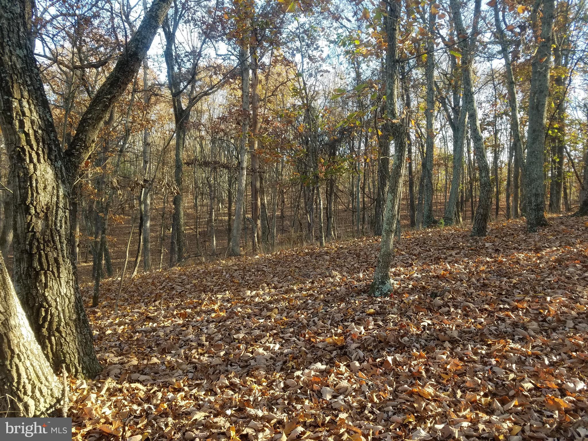 CRYSTAL VALLEY ESTATES - Land