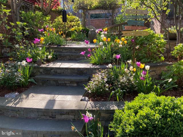 OLD TOWN ALEXANDRIA - Residential