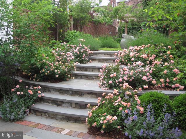 OLD TOWN ALEXANDRIA - Residential