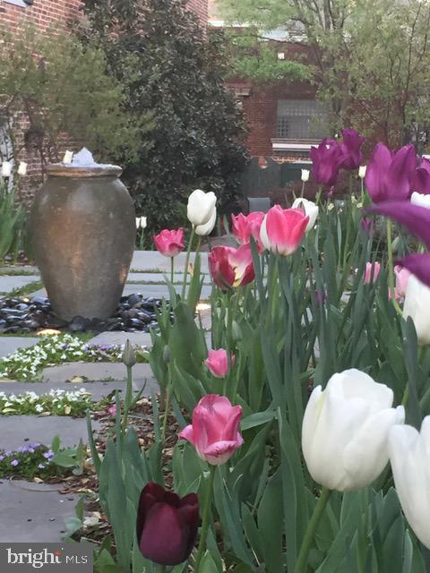 OLD TOWN ALEXANDRIA - Residential