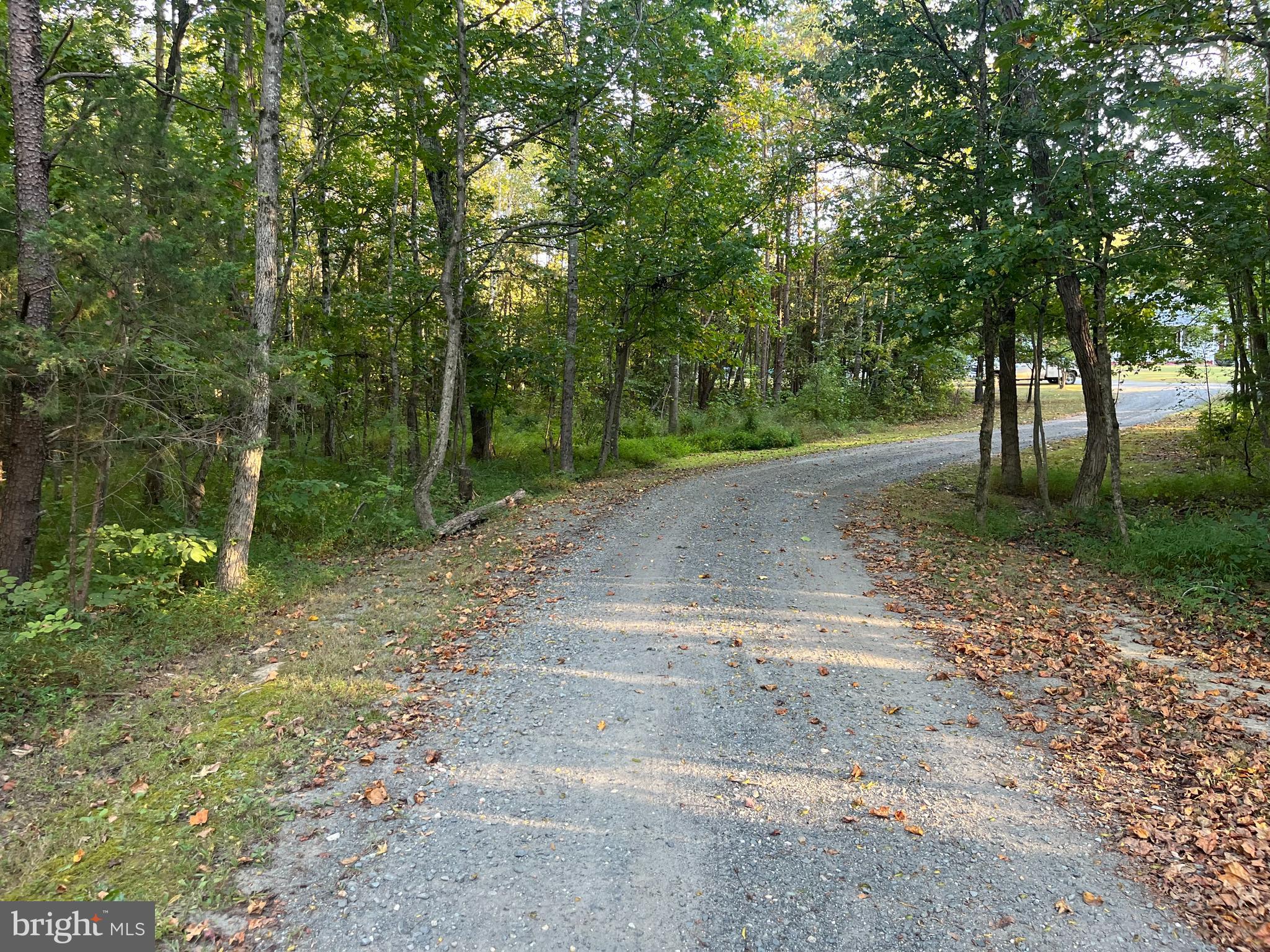 VIRGINIA PINES - Residential