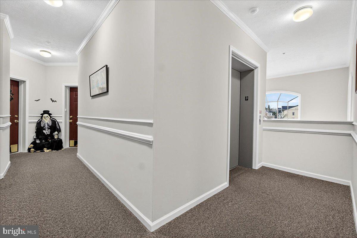 SPRING RIDGE - Residential