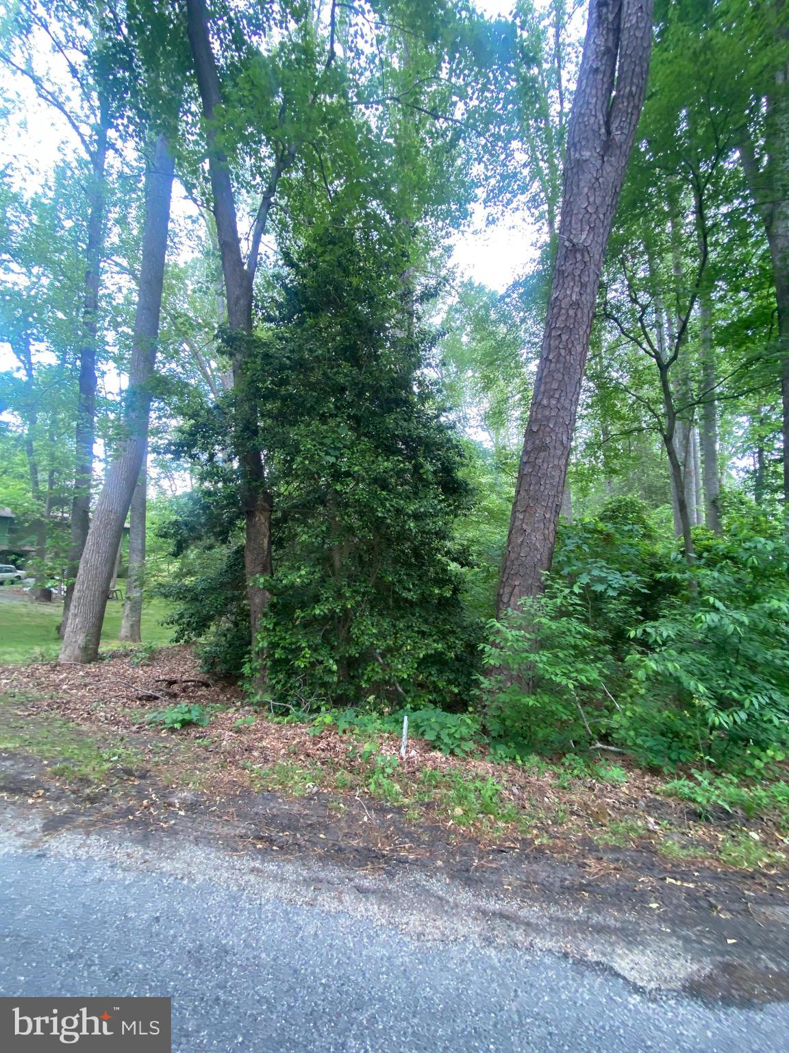 DRY BRIDGE RD
