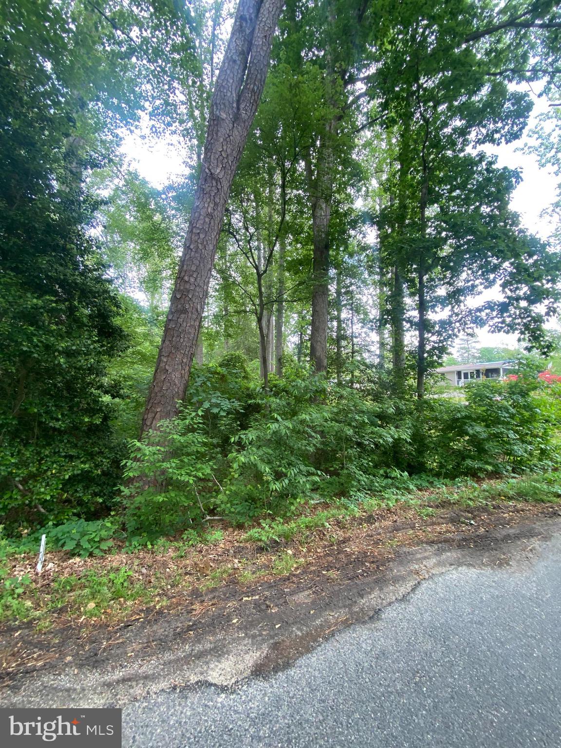 DRY BRIDGE RD