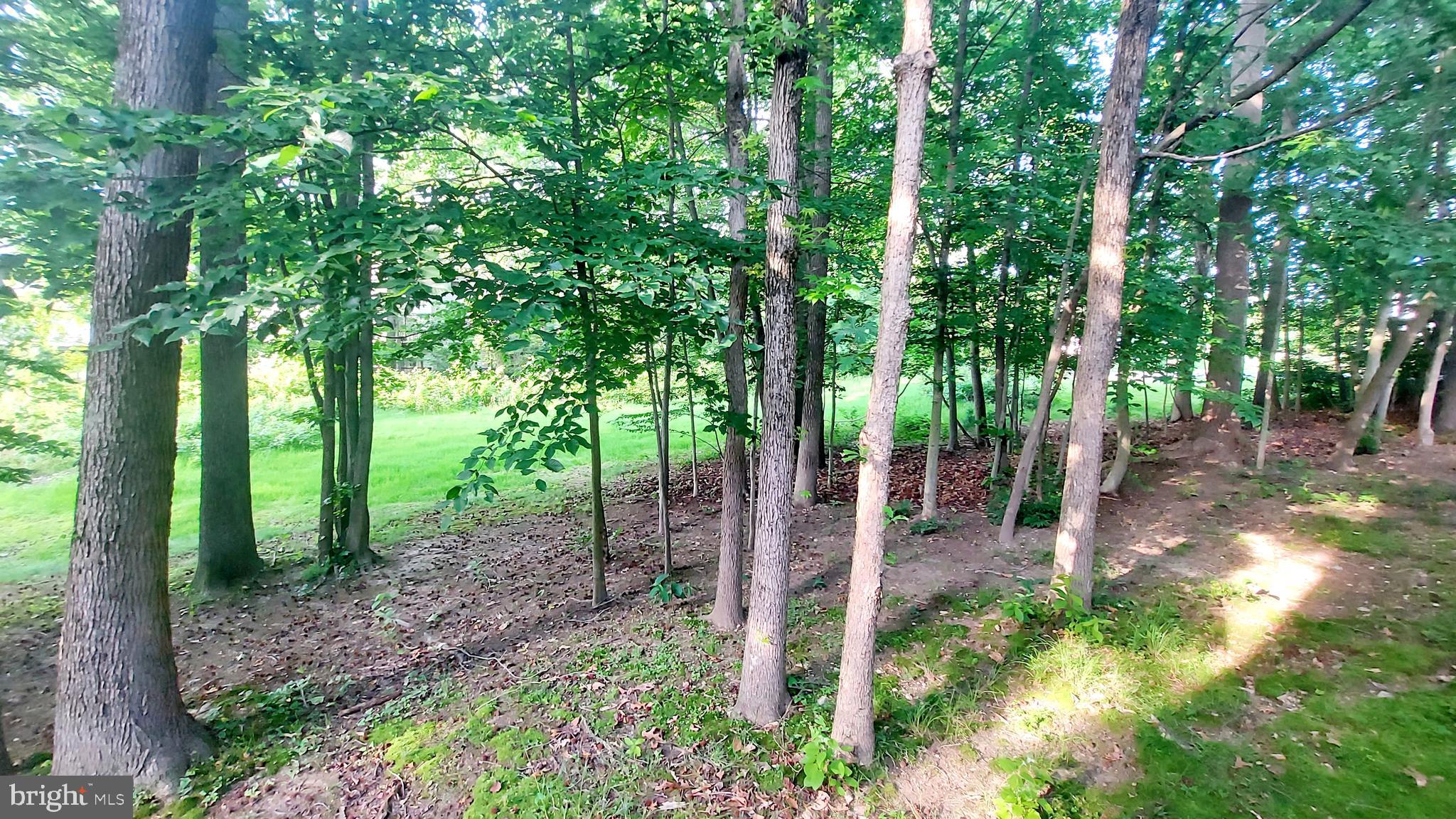 CHESAPEAKE CLUB CONDOS - Residential