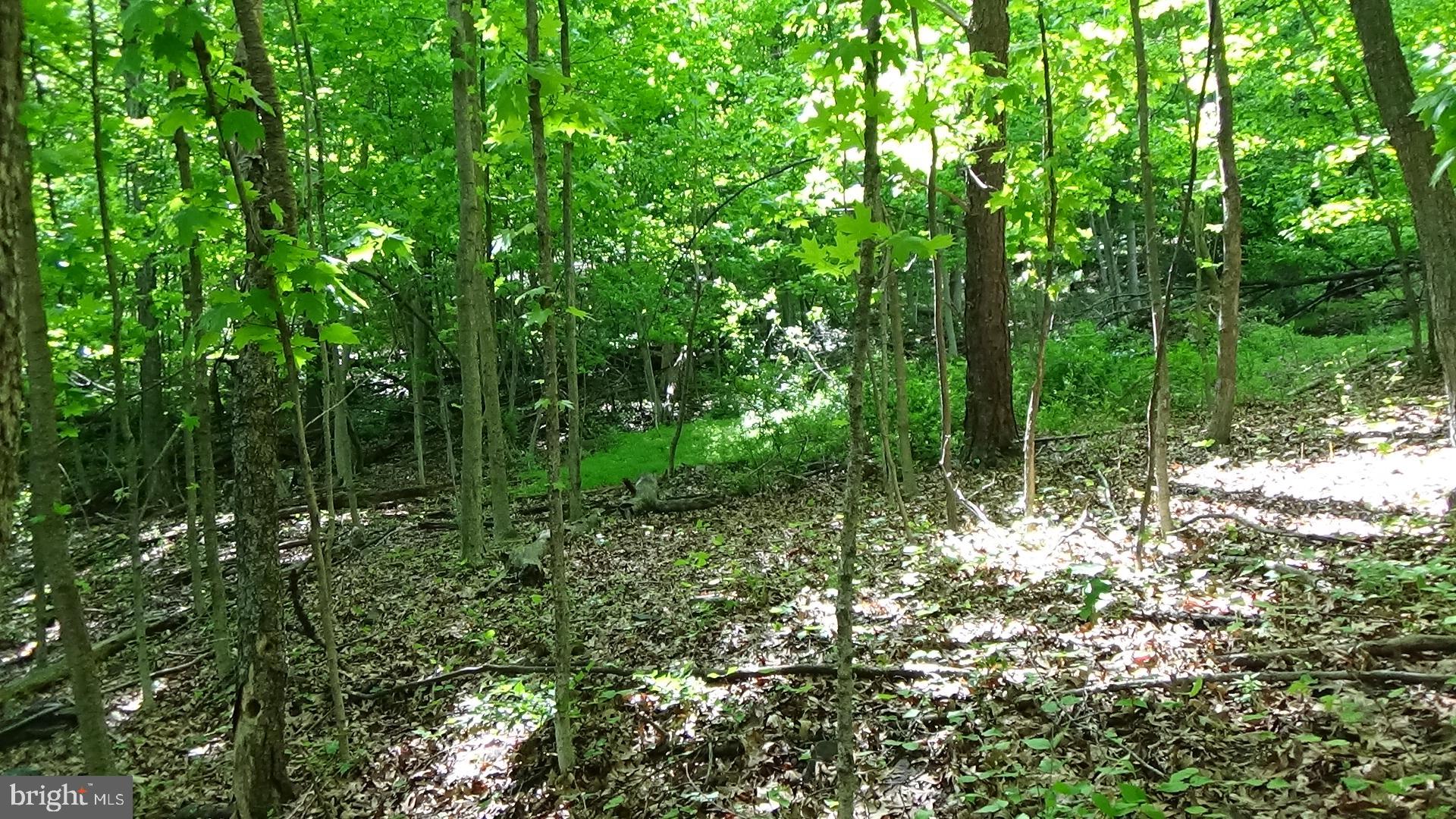 0 VALLEY VIEW DR