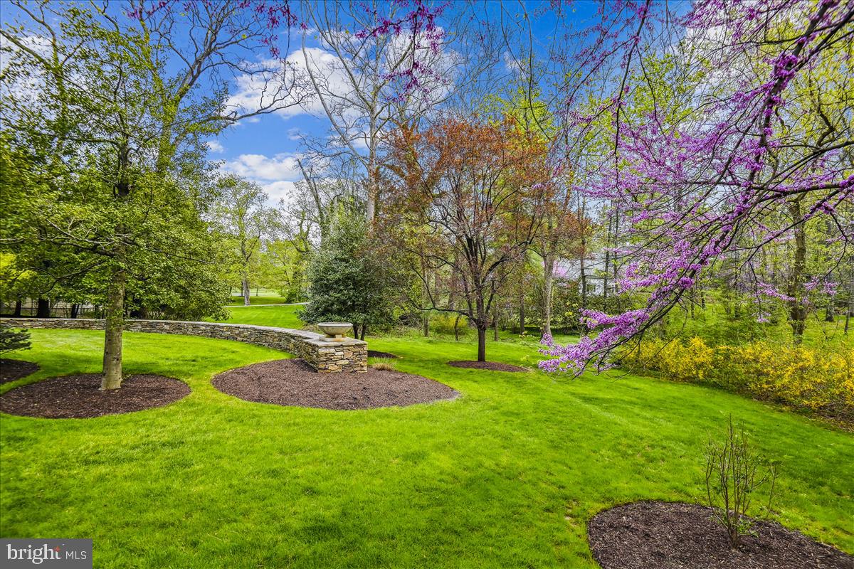 BRIDLESHIRE - Residential