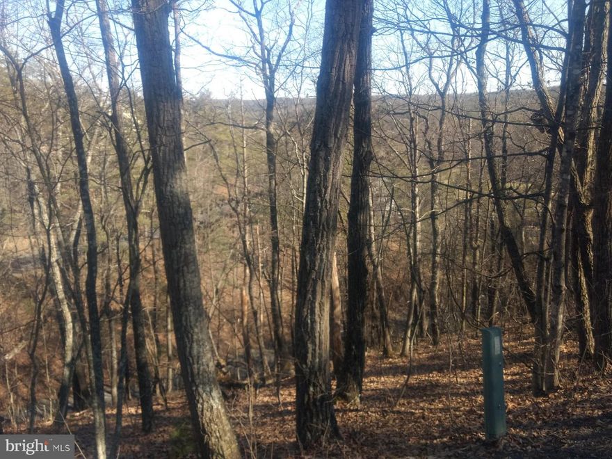 Take advantage of this incredible investment opportunity to own two adjoining lots (101 & 102) at Bryce Resort in the beautiful Shenandoah Valley. These two lots total 0.6 acres, providing you with stunning mountain views, as well as convenient access to a wide variety of activities and amenities. The top of the lots are on  Lee Rd and the bottom of the lots go to Ashby Rd. (Walking distance to the indoor pool and fitness center).

Golfers can enjoy the resort's 18-hole championship golf course, while hikers and bikers can explore the area's miles of trails. Nature-lovers will appreciate the pristine lake and mountain views, while adrenaline-seekers can take advantage of the resort's ski and snow tubing options. The resort also features a small airport, an outdoor swimming pool, tennis courts, a gym, and even a dog park. 

If that wasn't enough, Bryce Resort now offers pickleball, an exciting new sport that is gaining popularity across the nation. Additionally, guests have access to a library and an indoor saltwater pool. 

This is your chance to own a piece of paradise in the beautiful Shenandoah Valley. Pack your bags and come see for yourself why this is the perfect place to call home!