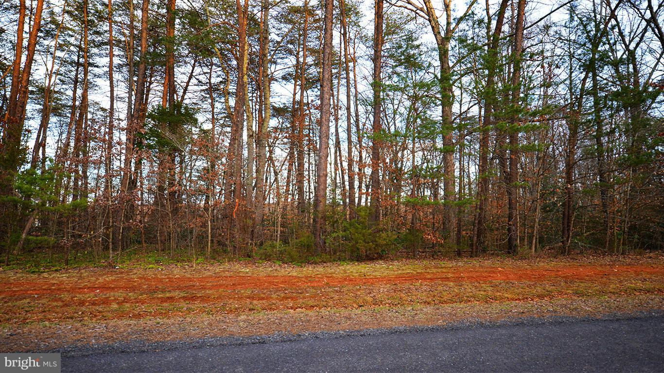 BISHOPS MANOR - Land