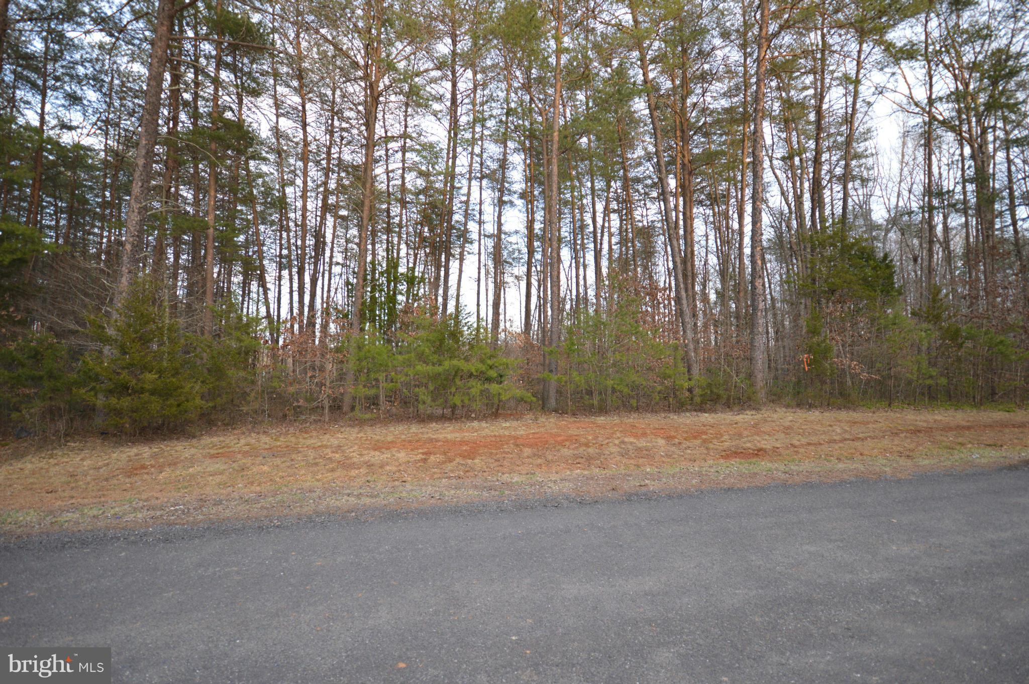 BISHOPS MANOR - Land