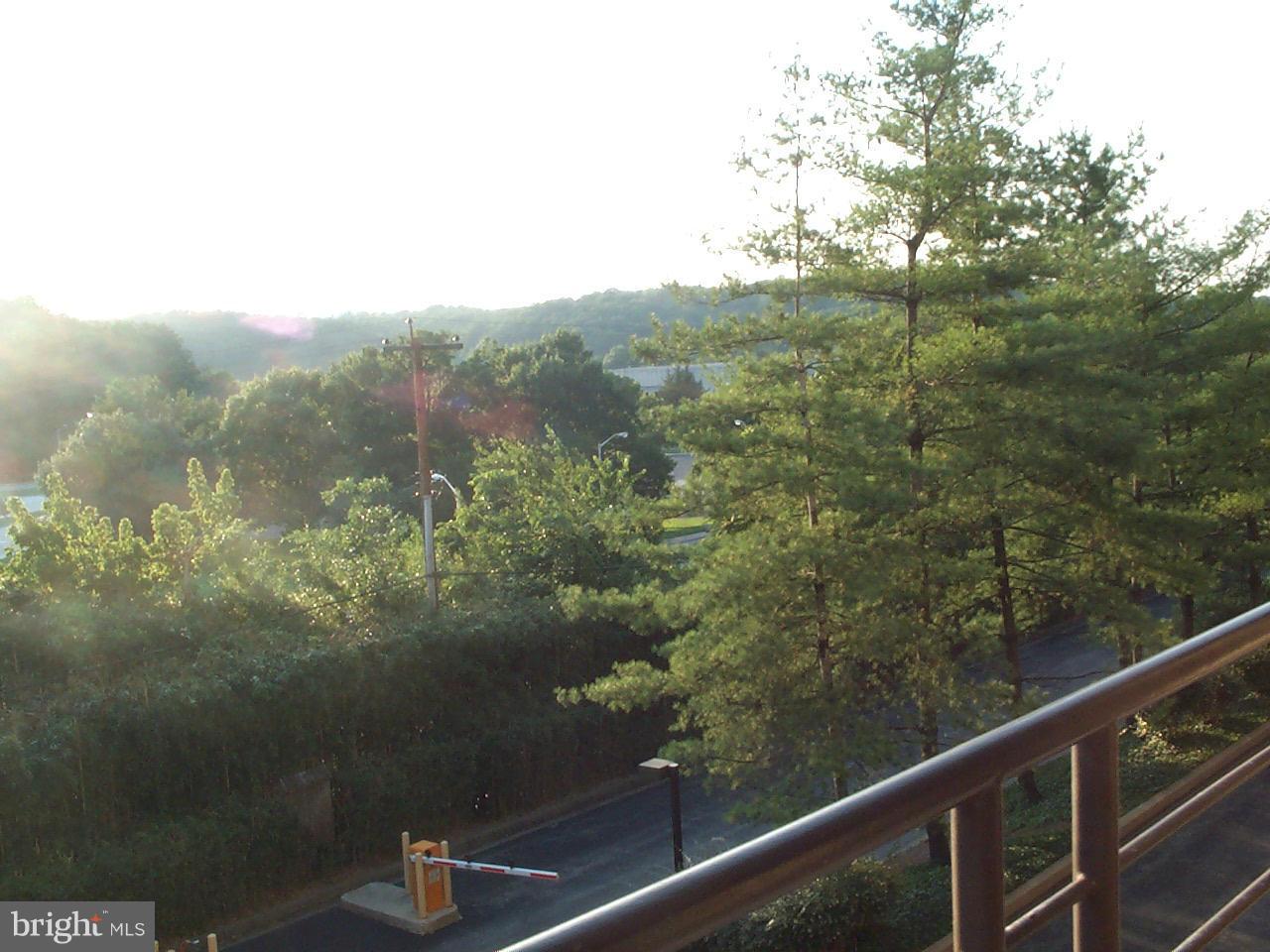 ROLAND PARK - Residential Lease