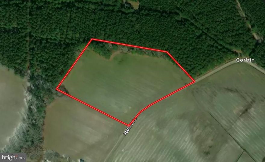 14.46+/- acres located on the north side of Scotty Road in Snow Hill, MD.  There are four approved percs for 10,000 Sqft SRAs. Buyer to perform due diligence