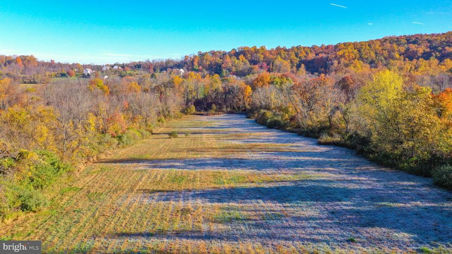 Saucon Streamside offers the ideal location, setting and topography to build the home of your dreams on 2 parcels totaling 10.55 acres. Set on a quiet road in Lower Saucon and Williams Townships, the property features a blend of woods and clearings and features a meandering stream. Surrounding properties include country estates tucked at the end of long drives and executive homes all taking advantage of the quick access to Route 78, New Jersey and the abundant amenities offered by nearby Historic Bethlehem and Easton. The Woodland Hills Preserve is conveniently located and offers 145 acres with hiking paths and ponds.