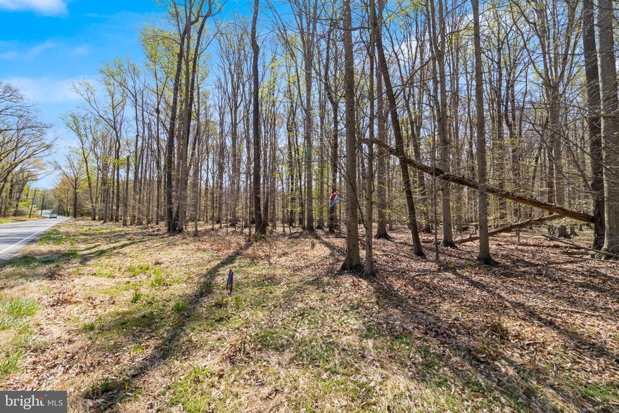 Discover 5 acres of beautiful, open woodland offering a serene, park-like setting with filtered sunlight and minimal underbrush. An adjacent 5-acre parcel is also available, providing the opportunity to expand to a full 10-acre property. Conveniently located across from the Kingsview subdivision, this property offers both privacy and accessibility, with an easy commute to Route 210. Whether you're looking to build your dream home or enjoy a peaceful recreational retreat, this land presents an excellent opportunity. Buyer is responsible for conducting all due diligence regarding buildability and intended use.