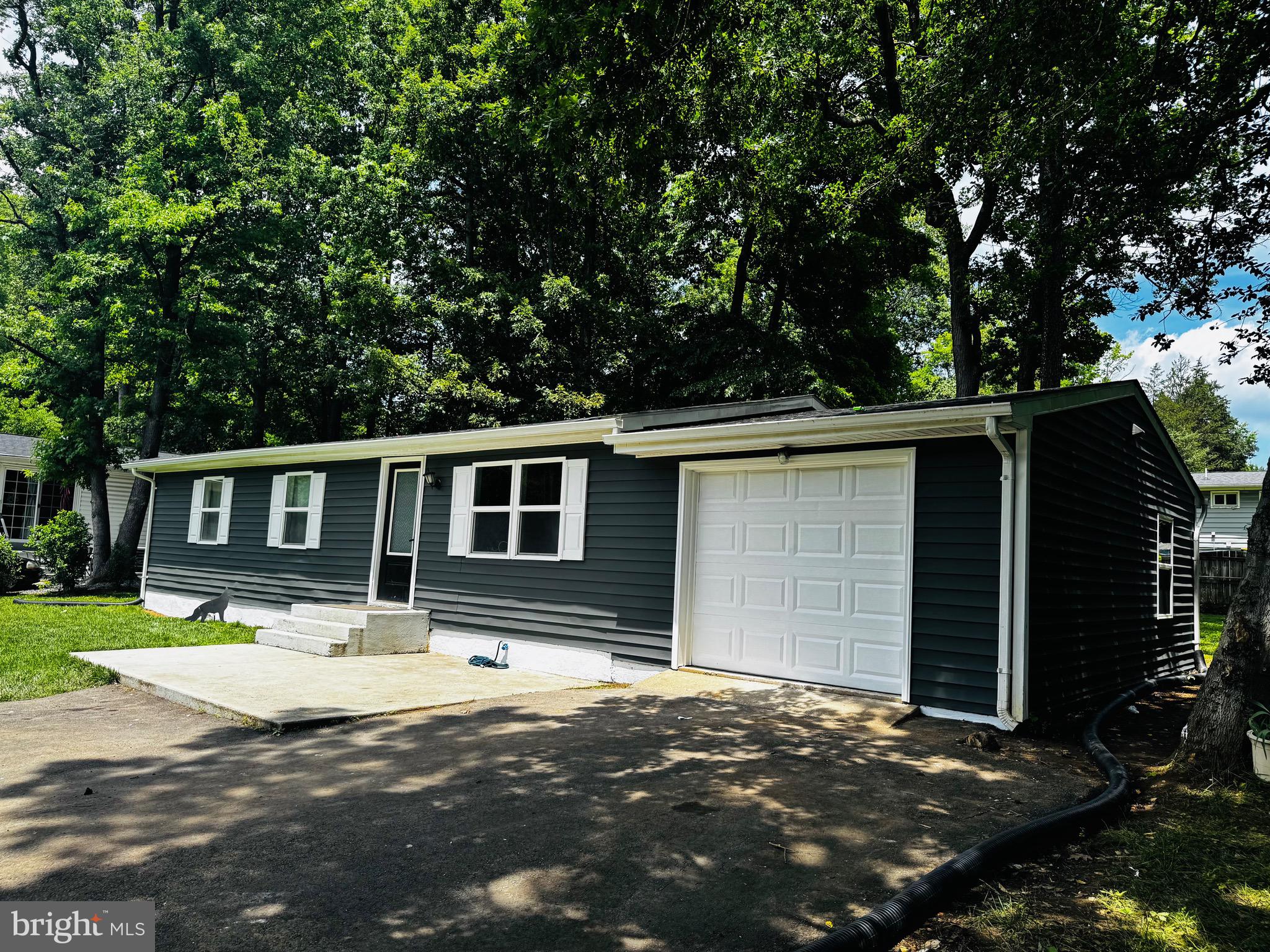 1 DAVID COURT