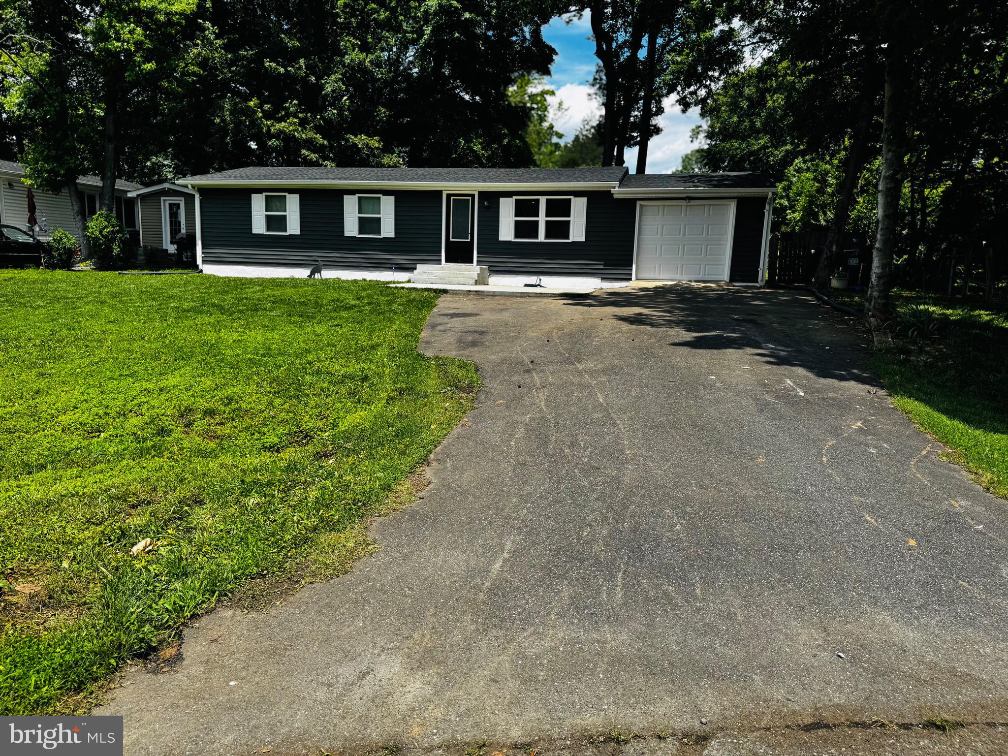 1 DAVID COURT
