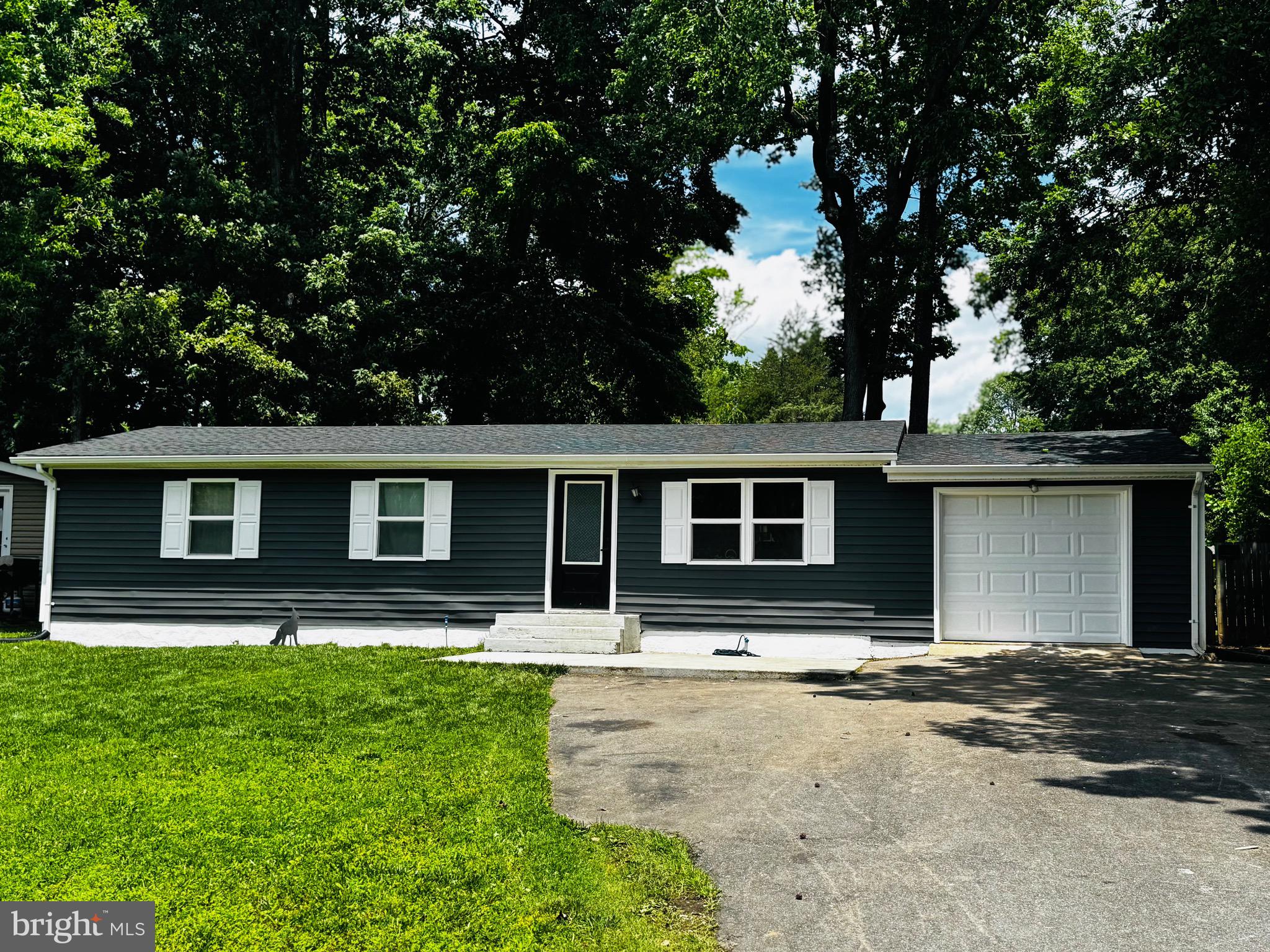 1 DAVID COURT