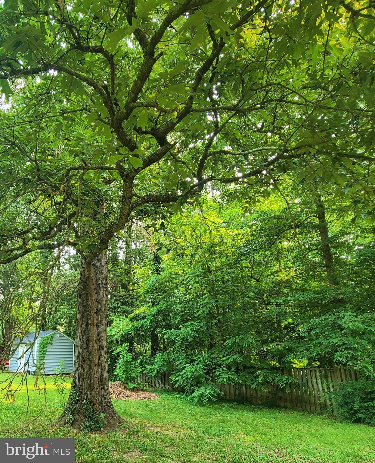 GOLDEN BEACH - Residential