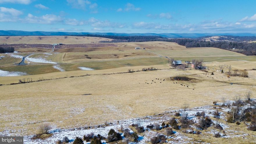This type of acreage does not come along often!  Located just 75 minutes from Northern Virginia, 50 minutes to Winchester and Front Royal and 23 miles to Harrisonburg, the potential is unlimited here!  135 gently rolling acres of mostly open fields mixed with hardwoods, and a stream that borders and crosses a section of this property.  

This property is perfectly suited for that dream home build, a family compound, potential subdivision, a multi-cabin AirBnB portfolio and so much more!   Numerous elevated building sites for that country dream home with gorgeous views of Hawksbill Mountain, Shenandoah National Park and the surrounding countryside.  

Designated A-1 (Agricultural), this property allows for a wide range of permitted uses by right — from wineries, breweries, and distilleries to greenhouse retail operations, bed-and-breakfasts, short-term rentals, tiny homes, and additional agribusiness ventures. The acreage is fully fenced and currently set up for cattle, Gently rolling fields blend with wooded sections, creating versatile opportunities for grazing, cultivation, recreation, or expansion into vineyards and agritourism. Rich soil and open ground make the land especially well-suited for crops or specialty agricultural production.

The property is enrolled in the land use tax program, resulting in remarkably low real estate taxes.  There is no conservation easement in place, and the land is not part of an HOA or subdivision — offering uncommon freedom and flexibility for future plans.

Situated in northern Shenandoah County with convenient access to Harrisonburg,  Front Royal, and Shenandoah National Park, the location offers both seclusion and connectivity.  Whether your vision includes a working farm, an income-producing venture, a private retreat, or a generational estate, this distinctive Shenandoah Valley property presents a rare and compelling opportunity.

Please note.  All showings require a scheduled appointment, and the listing agent must accompany visitors at all times.