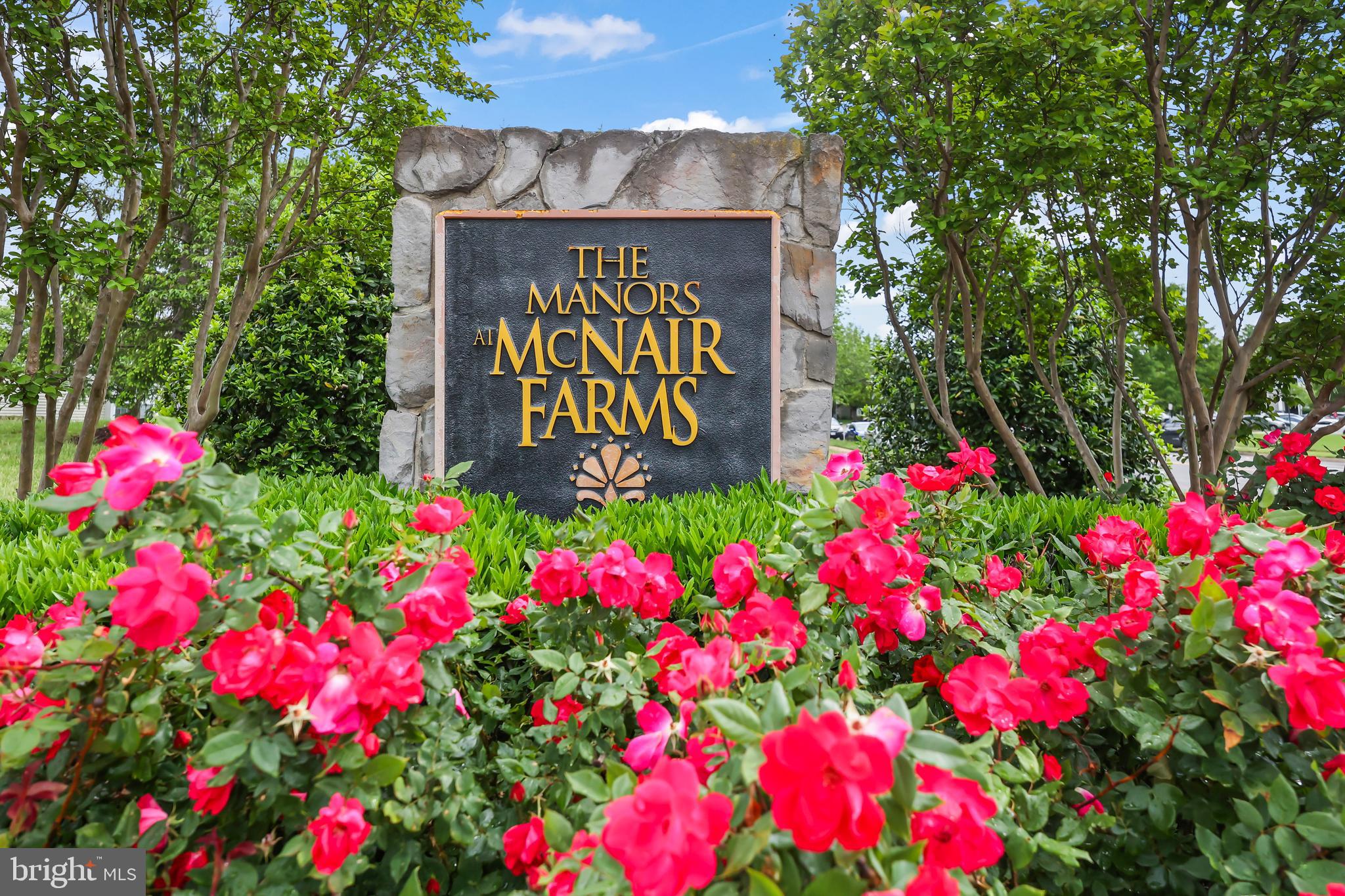 MANORS AT MCNAIR FARMS - Residential