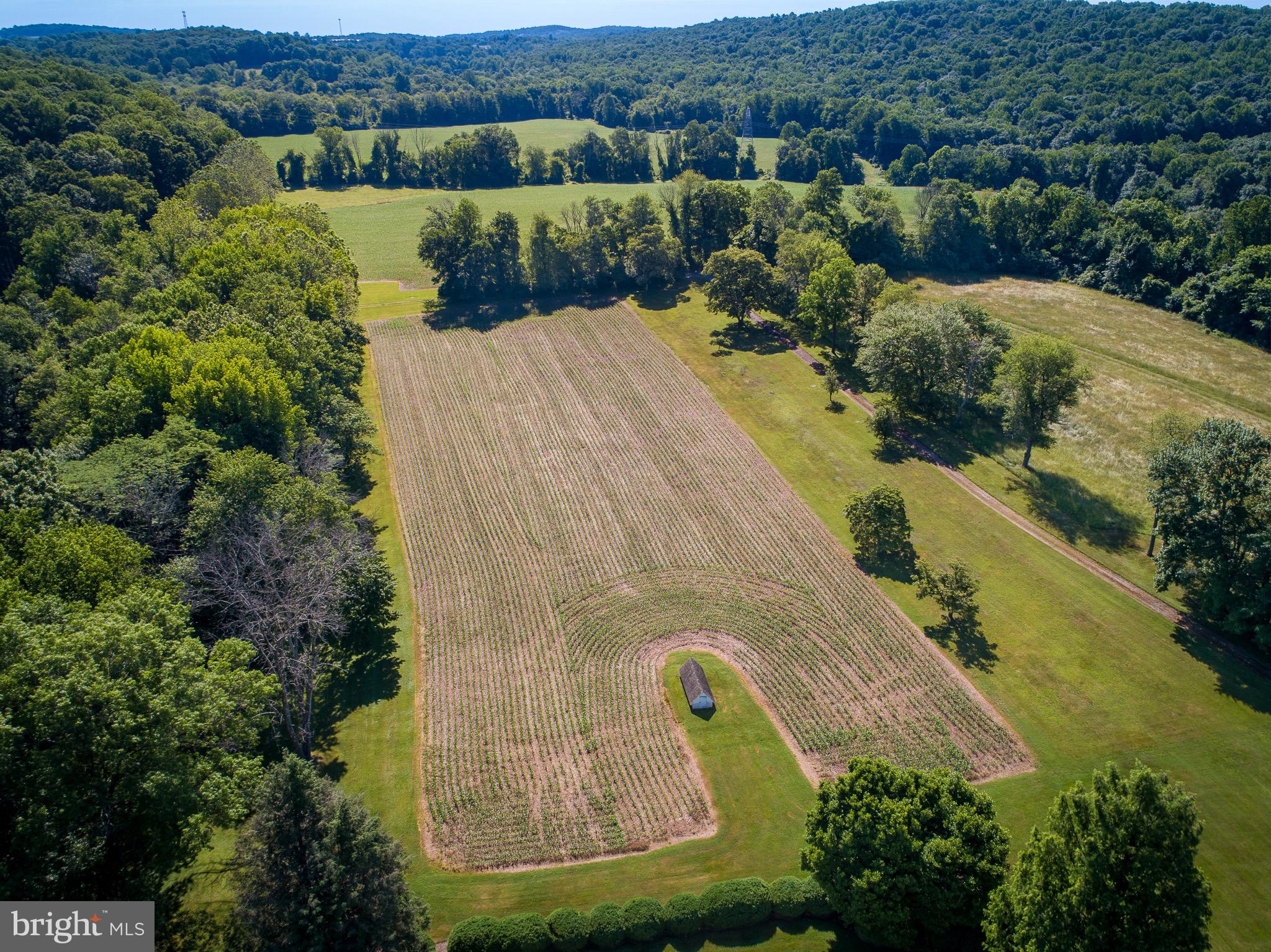 NONE AVAILABLE - Farm