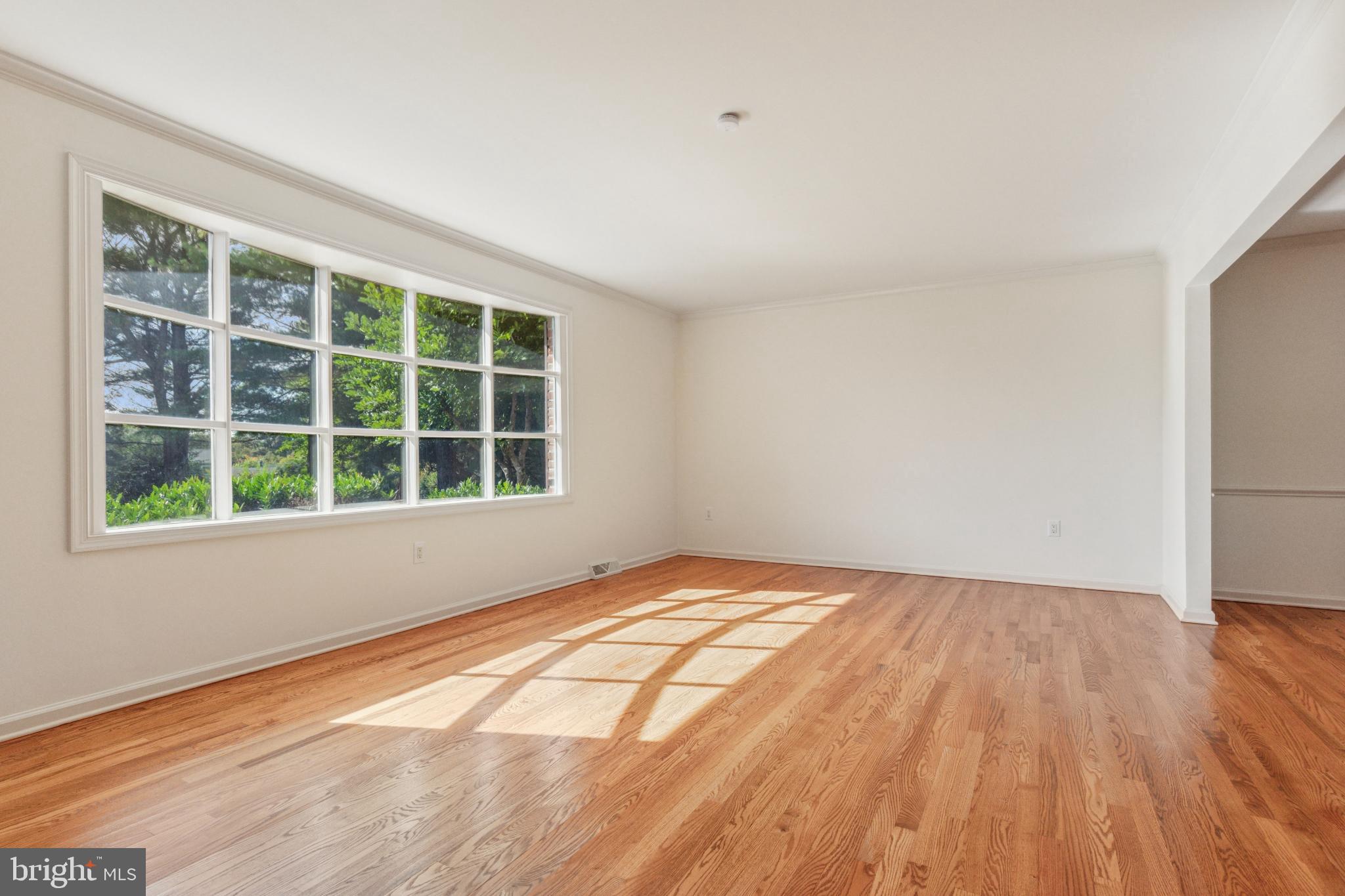1511 SUSAN DRIVE