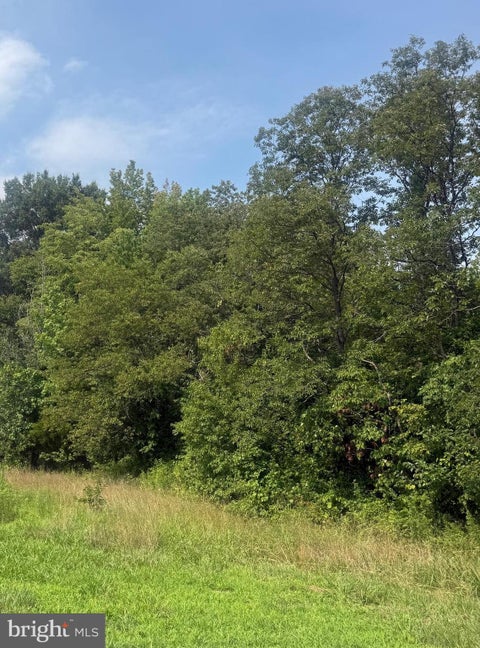 Vacant Land For Sale - PARCEL 73 Barclay Road<br/> BARCLAY, MD 21607