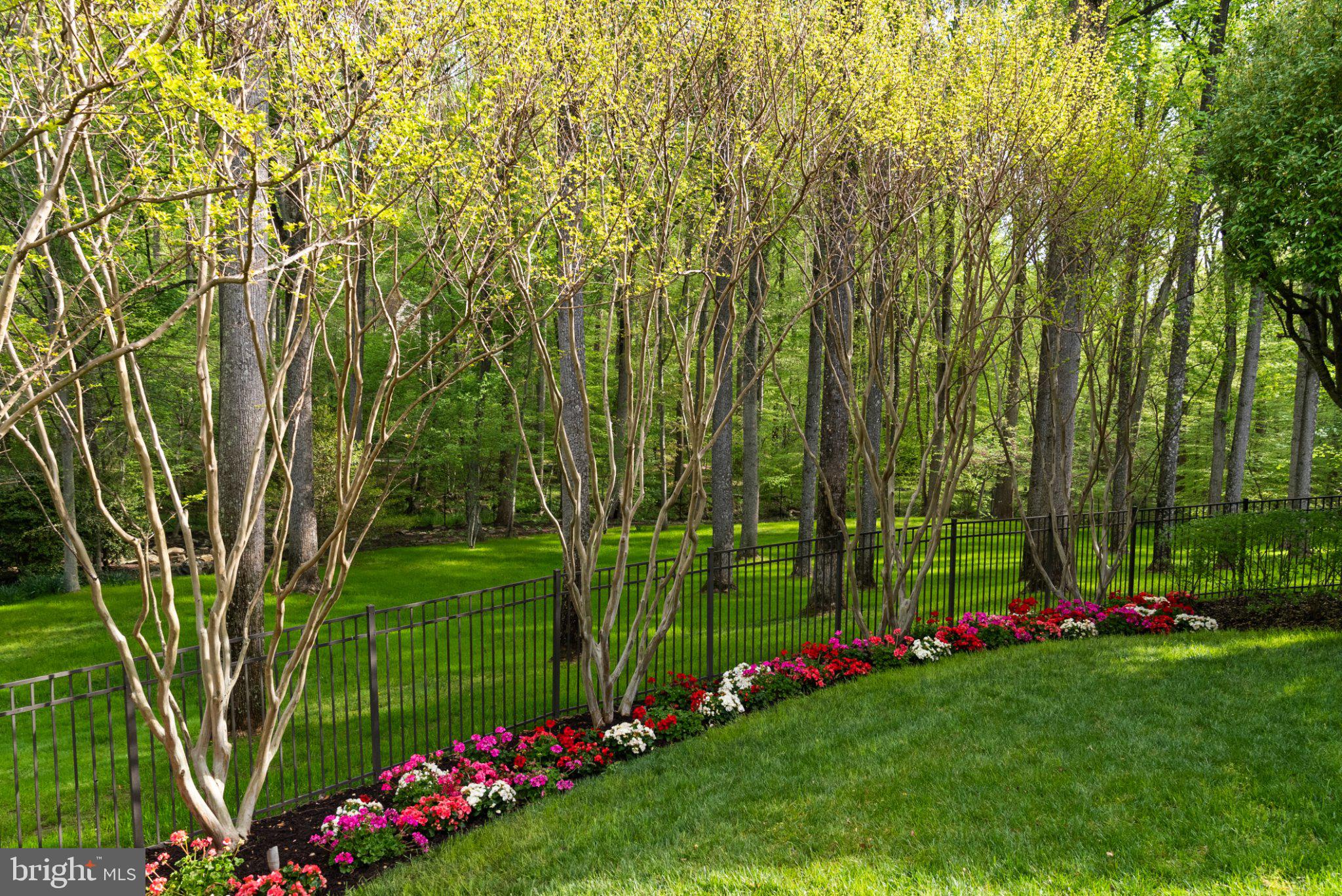 JACKSON HILLS - Residential