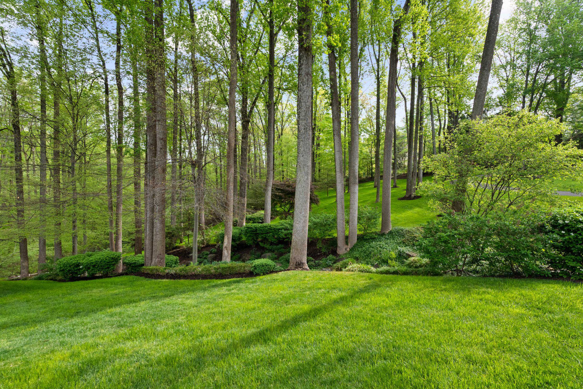 JACKSON HILLS - Residential