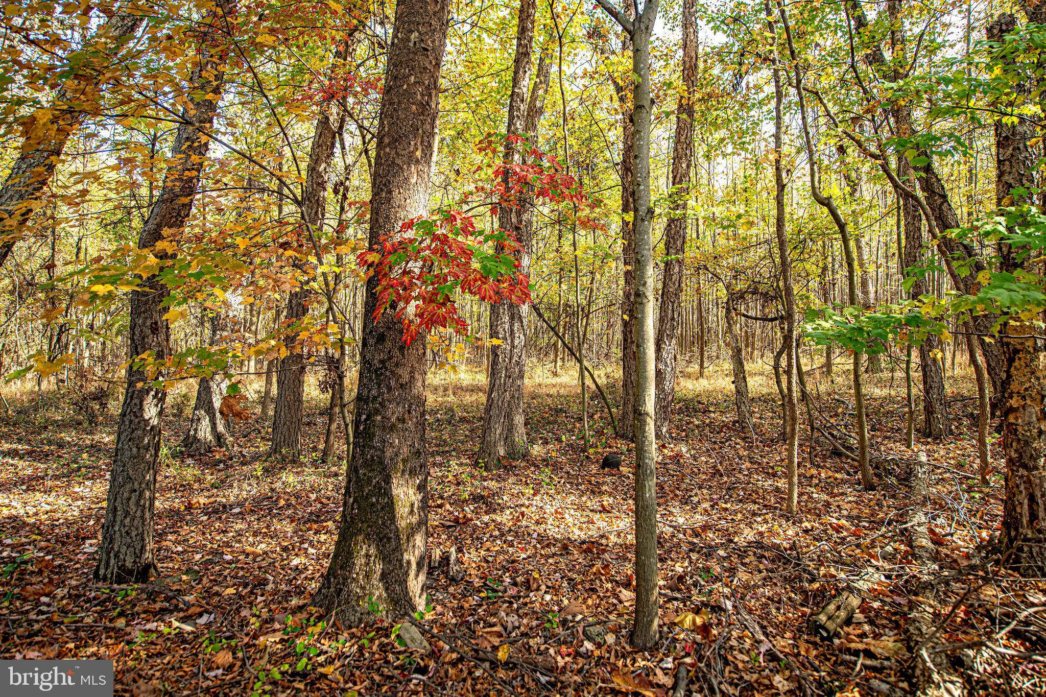 HARBOUR OAKS - Residential