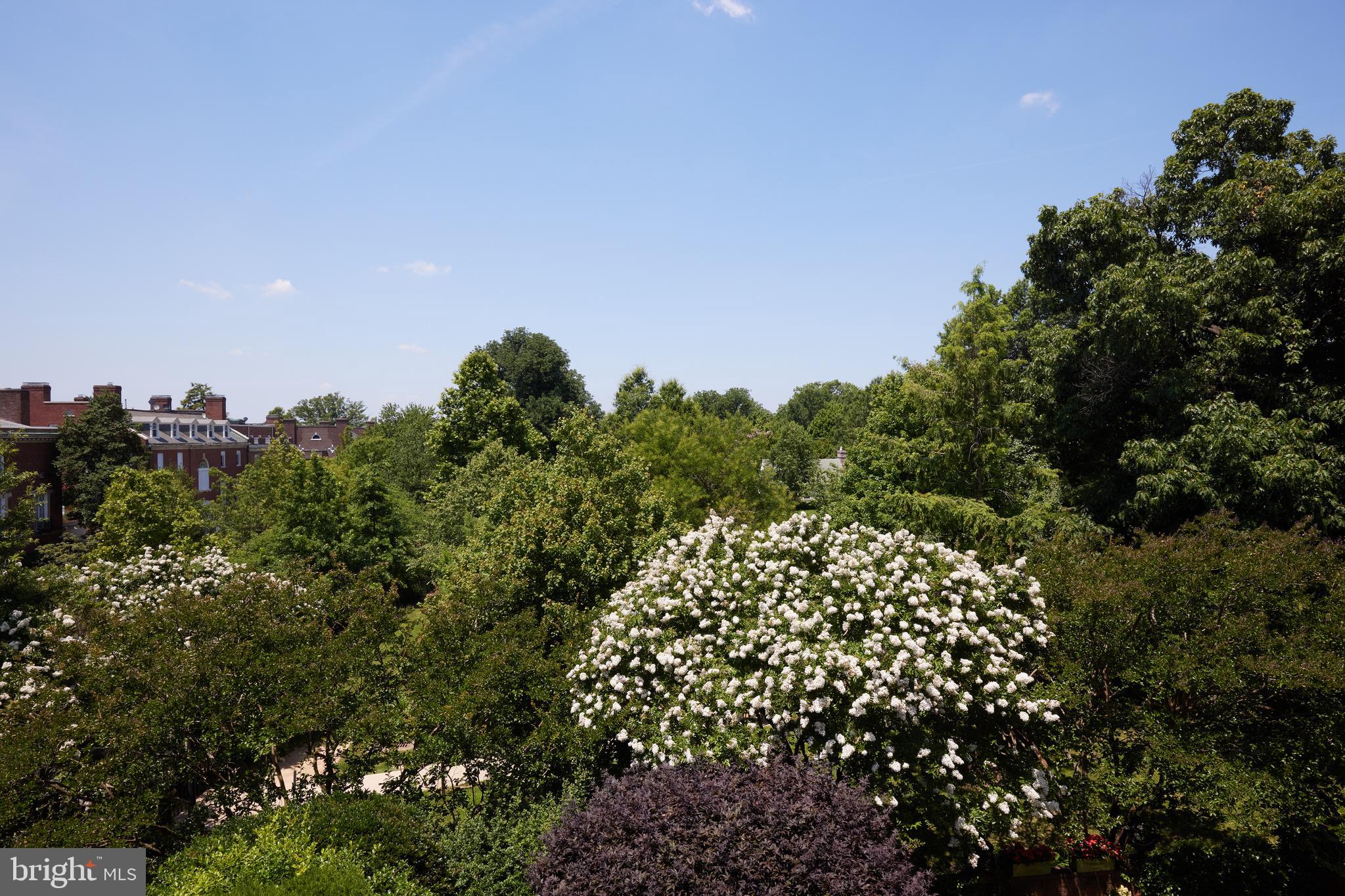 KALORAMA - Residential