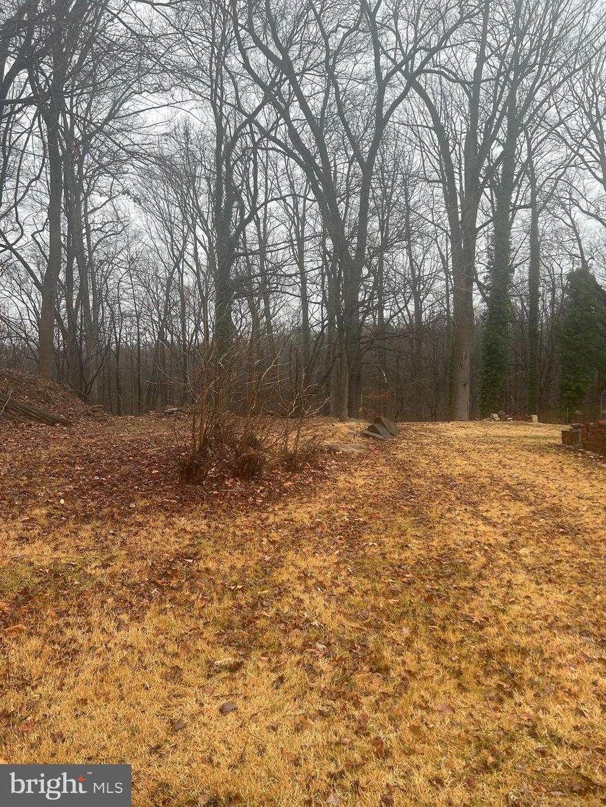 Land opportunity!  This lot is located at the end of a quiet road, surrounded by beautiful tree filled landscape that has amazing potential to the creative/visionary buyer.  This lot is adjoined to 2504 Lime Street, Temple Hills, MD 20748, which is also for sale!

Sellers of 2504 Lime Street  (MLS# MDPG2101940) are open to selling this home and  lot together!   Act fast to take advantage of this great deal!