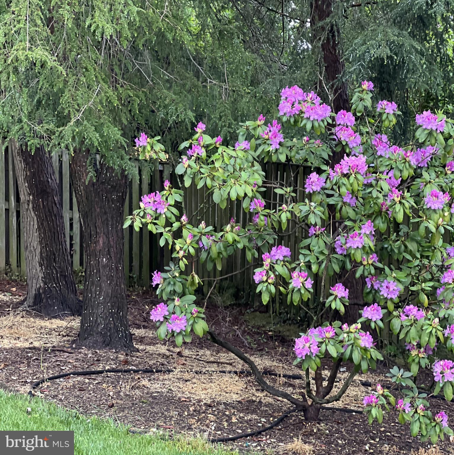 POINTER RIDGE - Residential