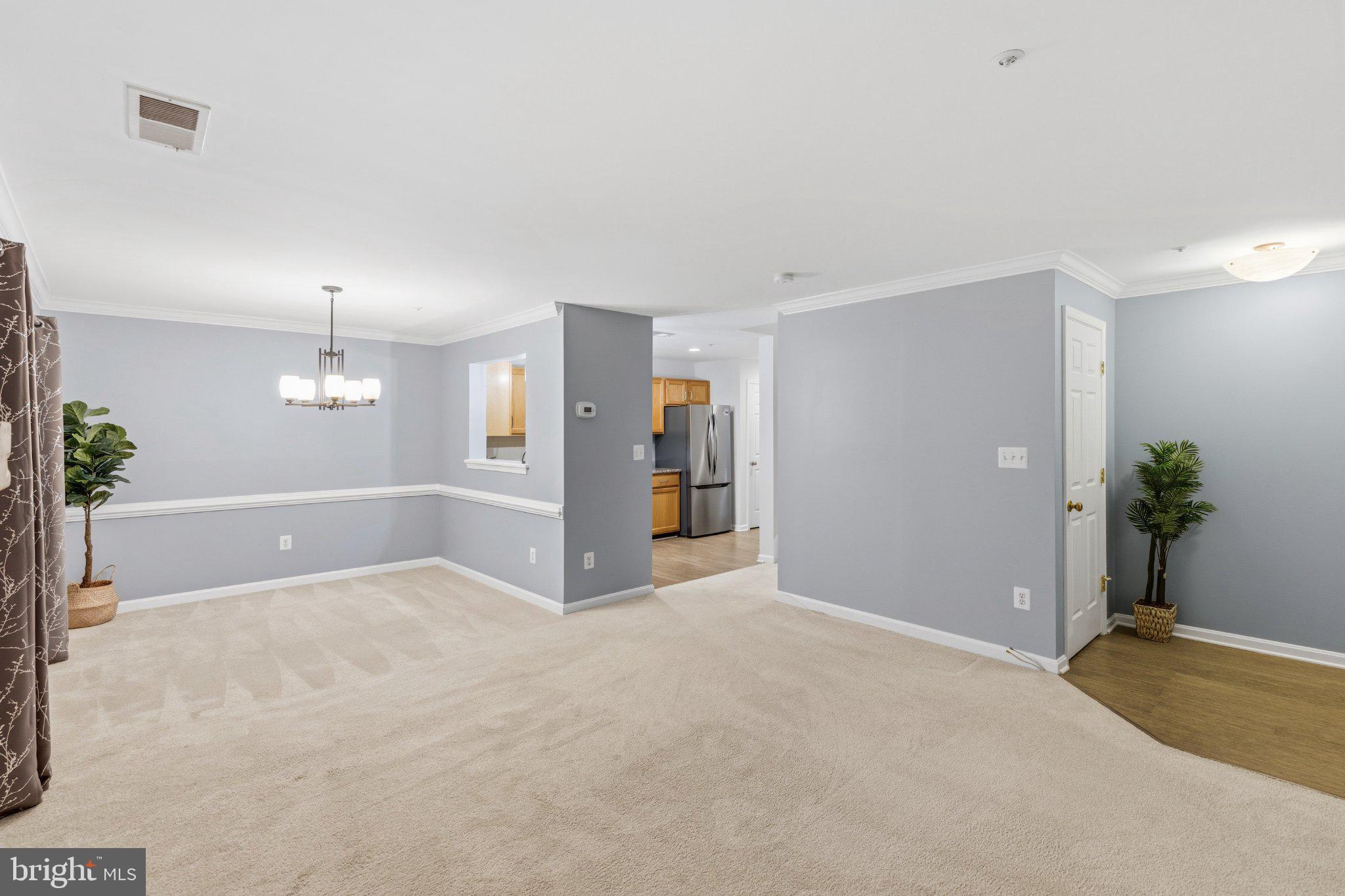 6609 NETTIES LANE 1509