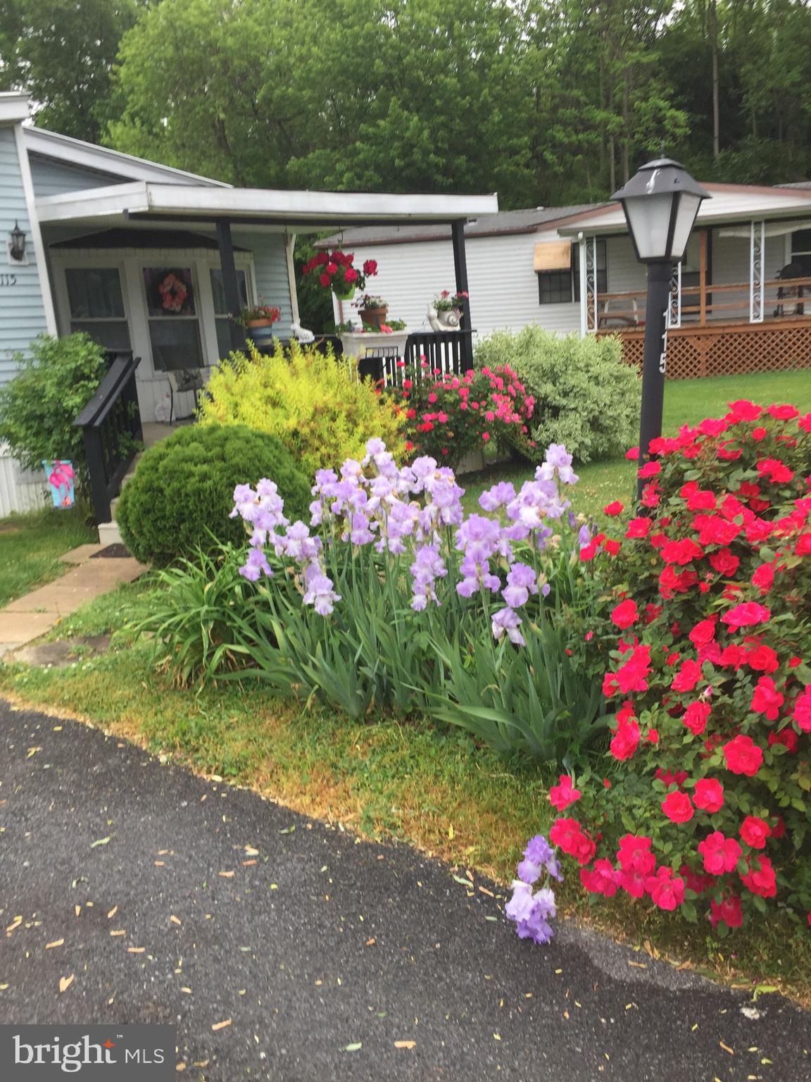 WINCHESTER MEADOWS - Residential