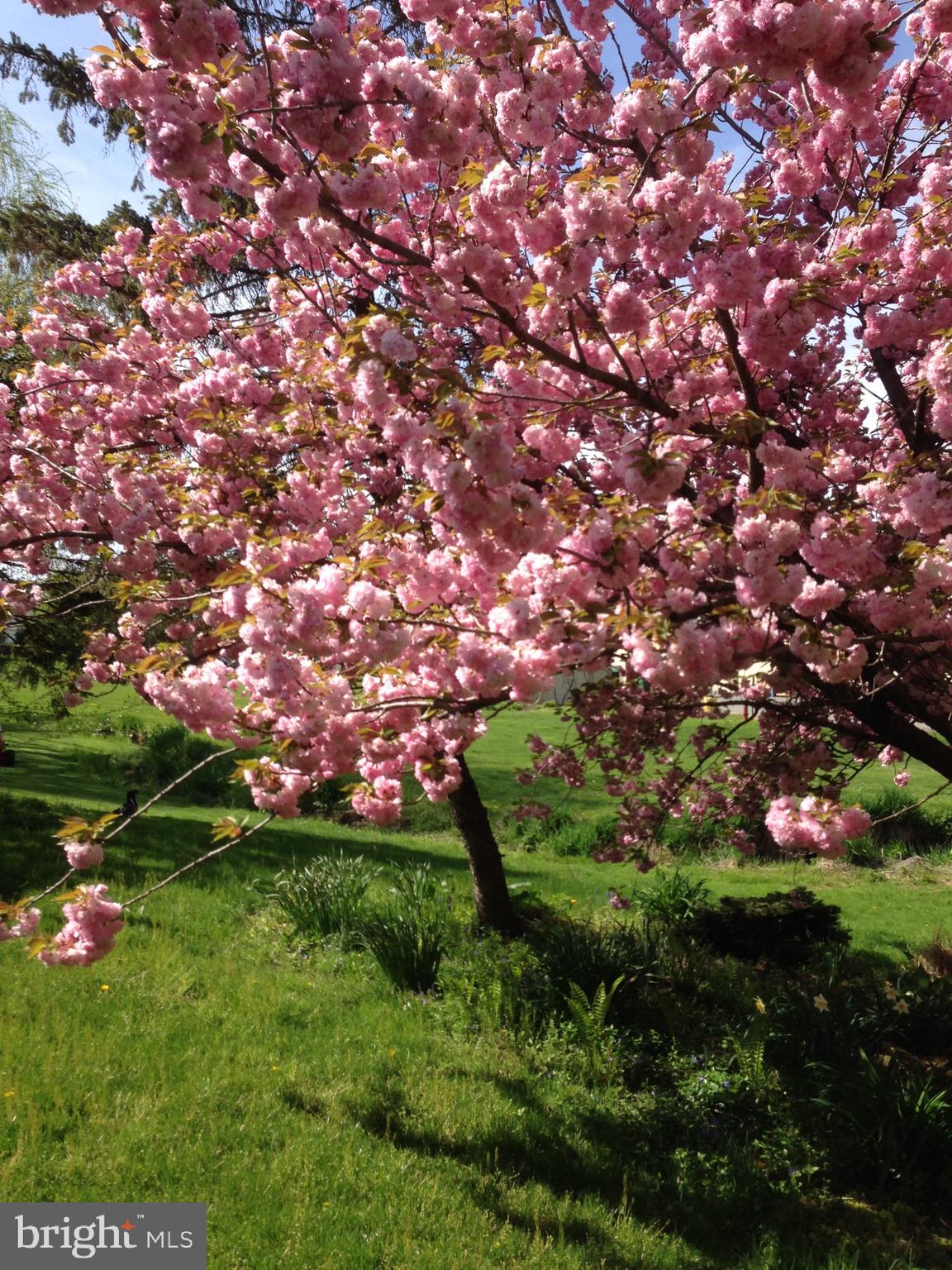 WINCHESTER MEADOWS - Residential