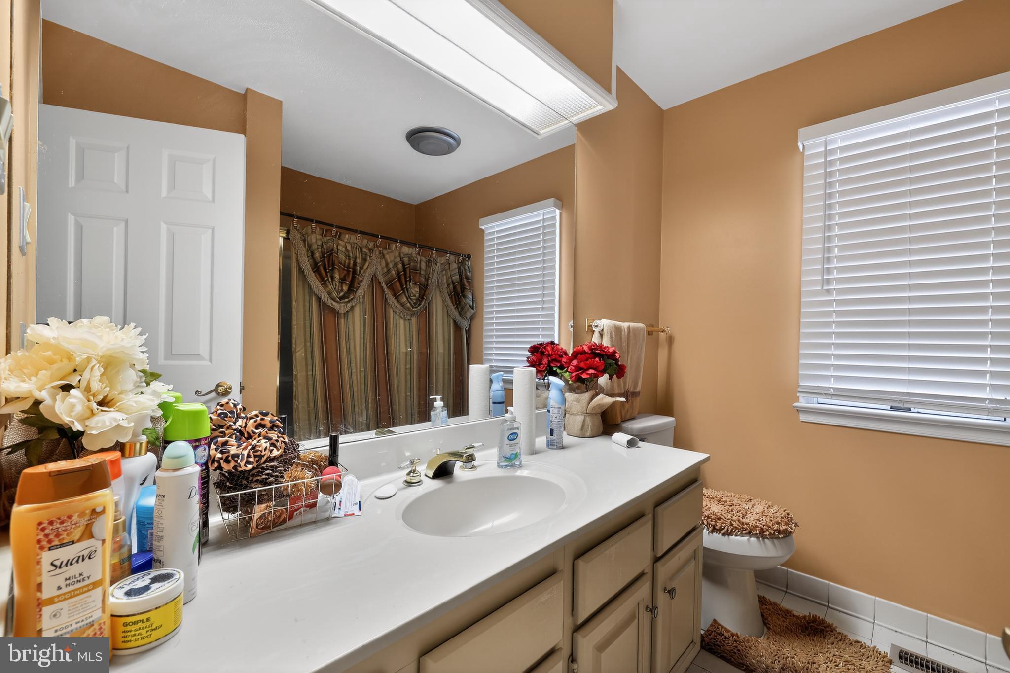 VILLAGE IN THE PARK - Residential